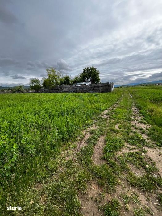 Teren extravilan de vanzare – 2.800 mp, Livezile, judetul Bistrita-