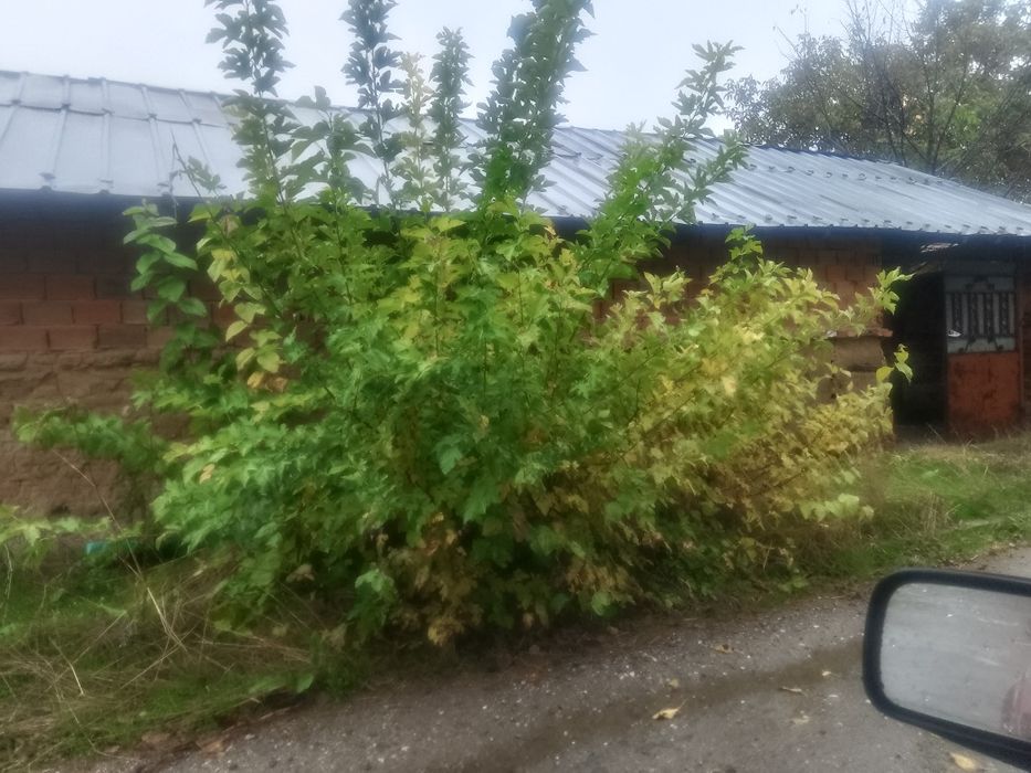 Къща в с Опълченец