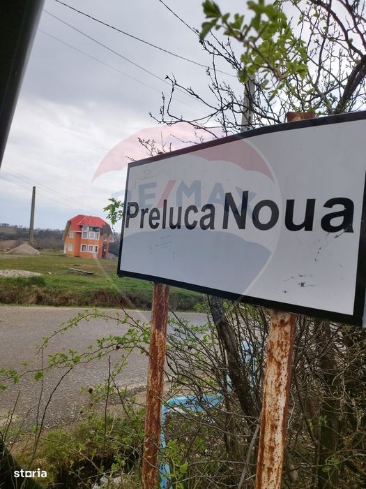 Casa de vacanta cu 8300 mp teren, de vanzare in Preluca Noua!!