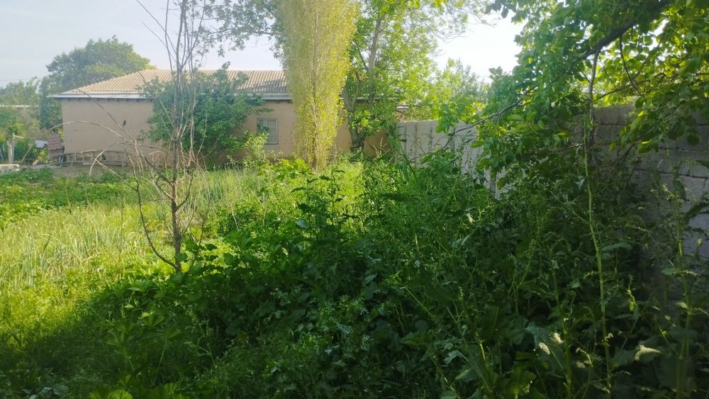 Yer uchastkasi sotiladi