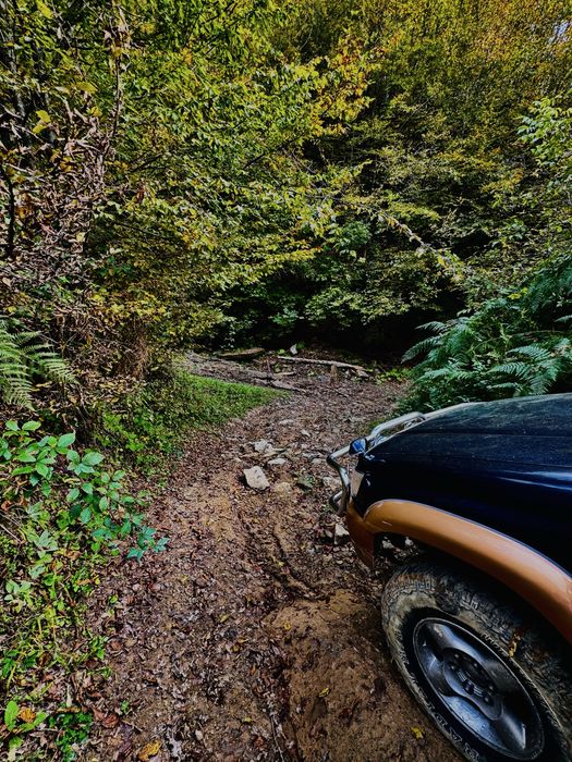 Продава се Къща в с. Черни Осъм, Област Ловеч - 62 кв.м за 1016 €/кв.м - Снимка #5