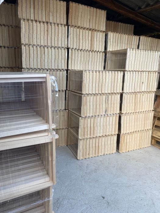 Rame tei ,   1/1 , 1/2, 3/4 insirmate montatate si capsate