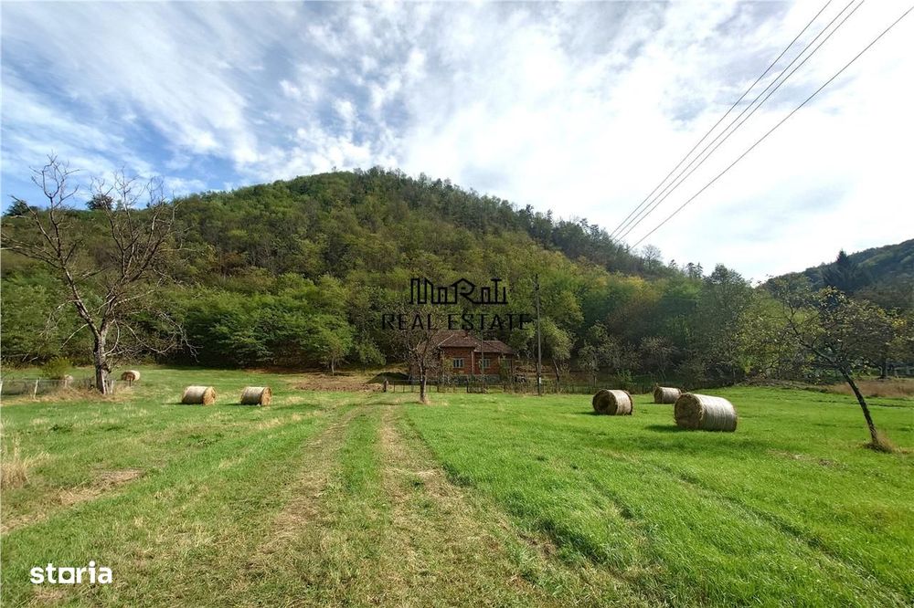 Teren, padure si casa in Dumbrava de Jos, jud. Hunedoara