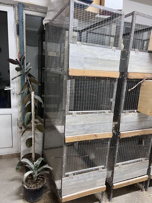 Клетки для разведения попугаев