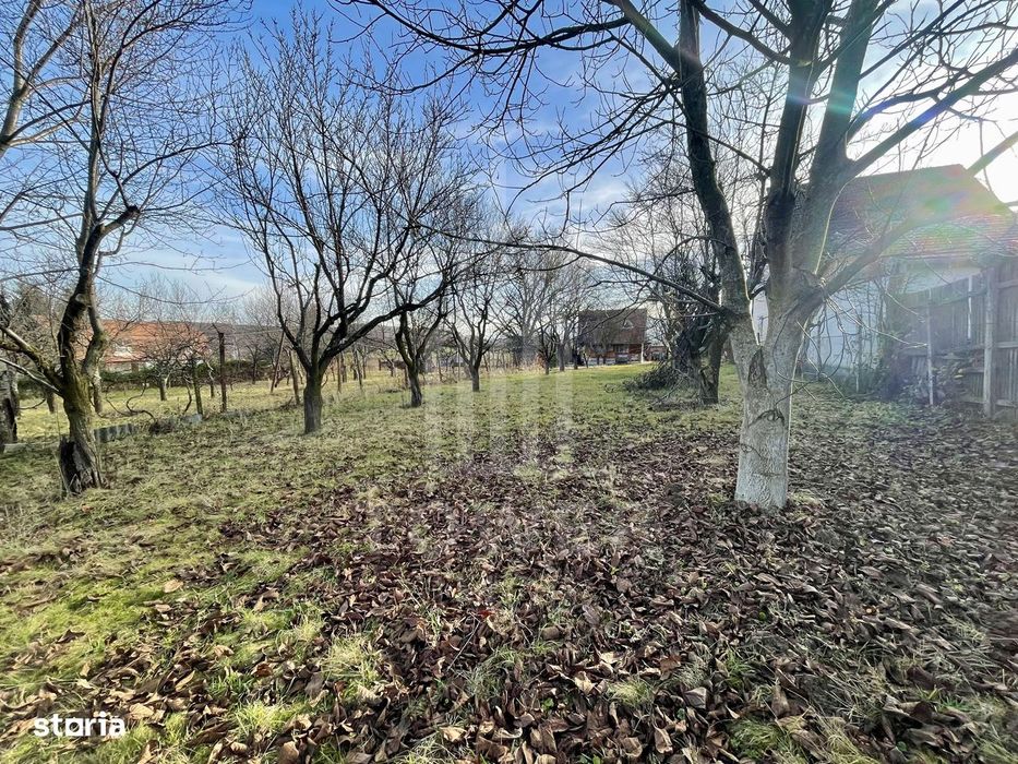 Teren intravilan 1.915 mp + cabană din lemn | Tocile – Sadu