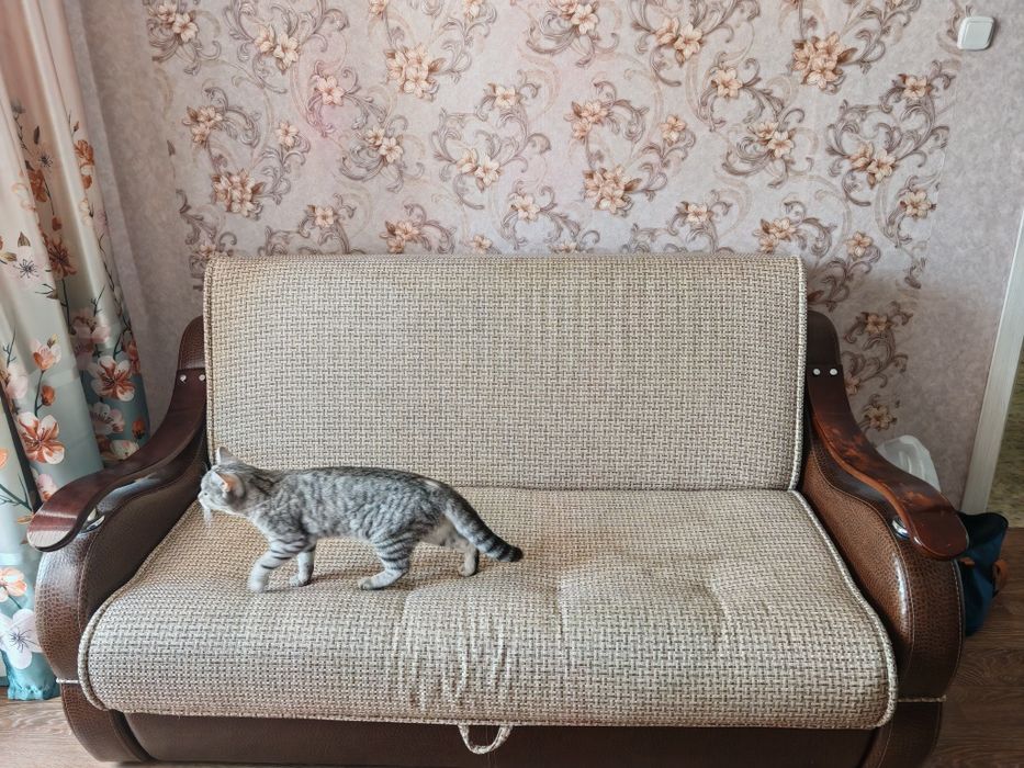 Продам Диван Аккордион