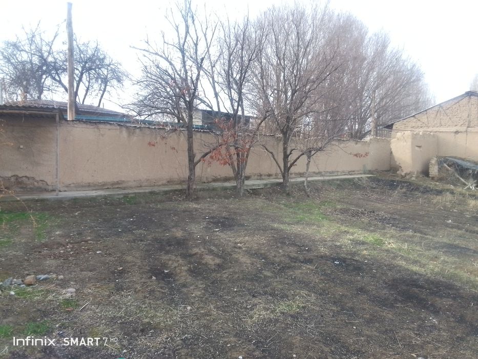 Дала ховли олти сотих