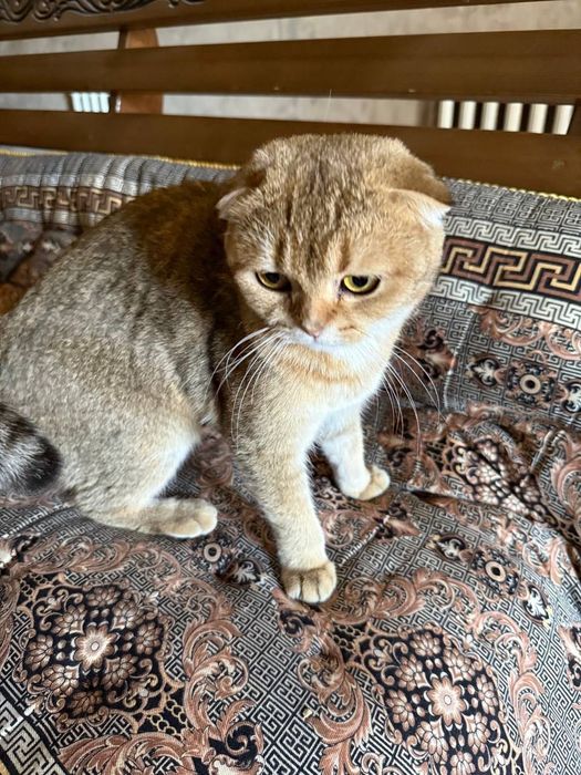 Друг тебе  или твоему ребенку