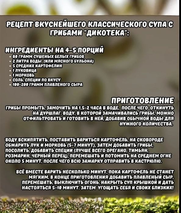 Сушеные белые грибы, 500 г, 2026, Алтай, крупные