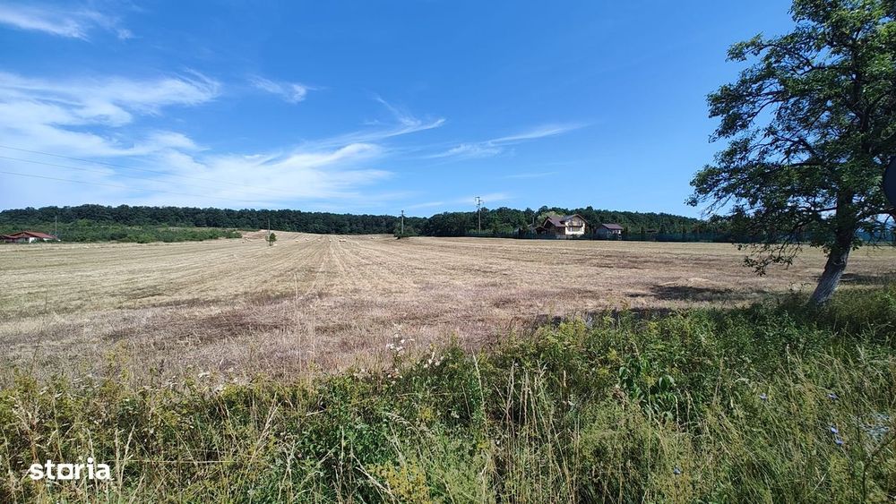 Teren extravilan de vânzare – Bârsău, județul Hunedoara – 7 hectare