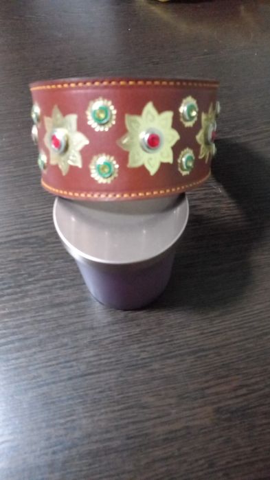 Ошейник для собак