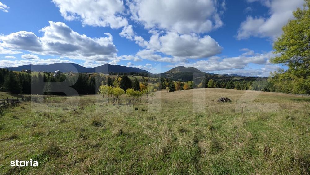 Teren 1,5 hectare - la Piatra Fantanele