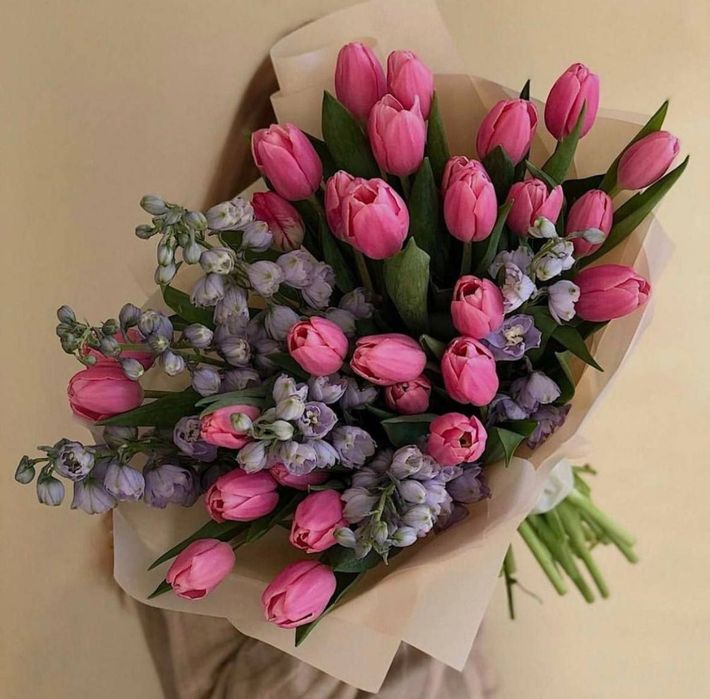 Голандские тюльпаны из парника