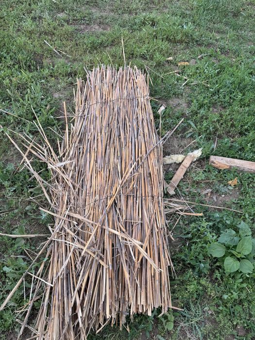 продам камыш старый аэропорт