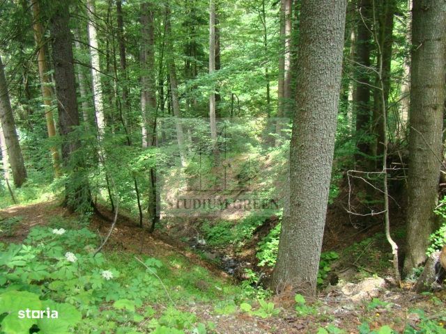 Proprietar vand 7059 mp de vanzare in Predeal- str. Schiorilor/Cioplea