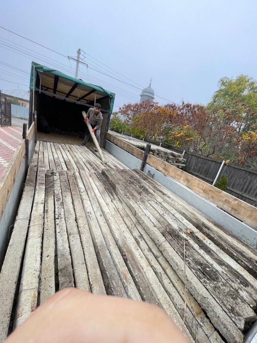 Spalieri pentru vie si gard