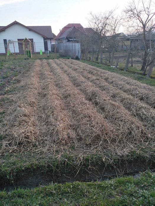 Casa cu solar 1700mp PETID, Bihor