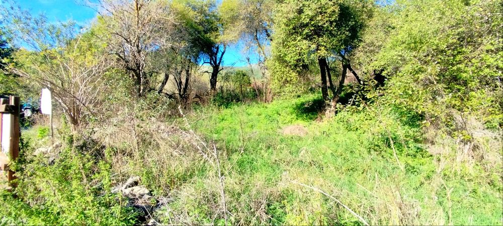 Продава се Парцел в с. Чуйпетлово, Област Перник - 620 кв.м за 103 €/кв.м - Снимка #6