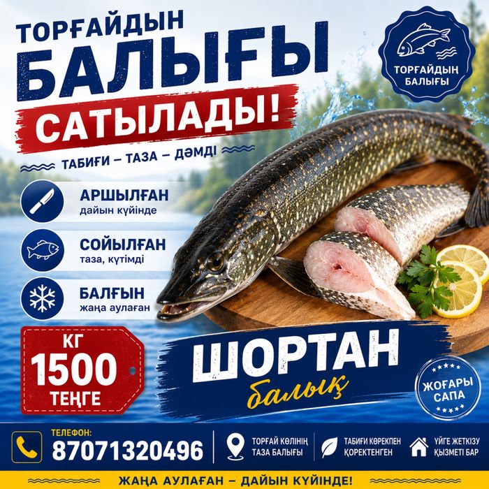 Торғайдың балығы сатылады