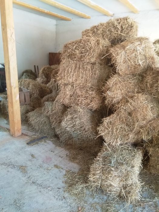 Vând otava  și fan de caltate