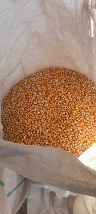 Попкорн  на прод