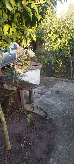Casa locuibila cu 4600 mp teren in sat Dedulesti