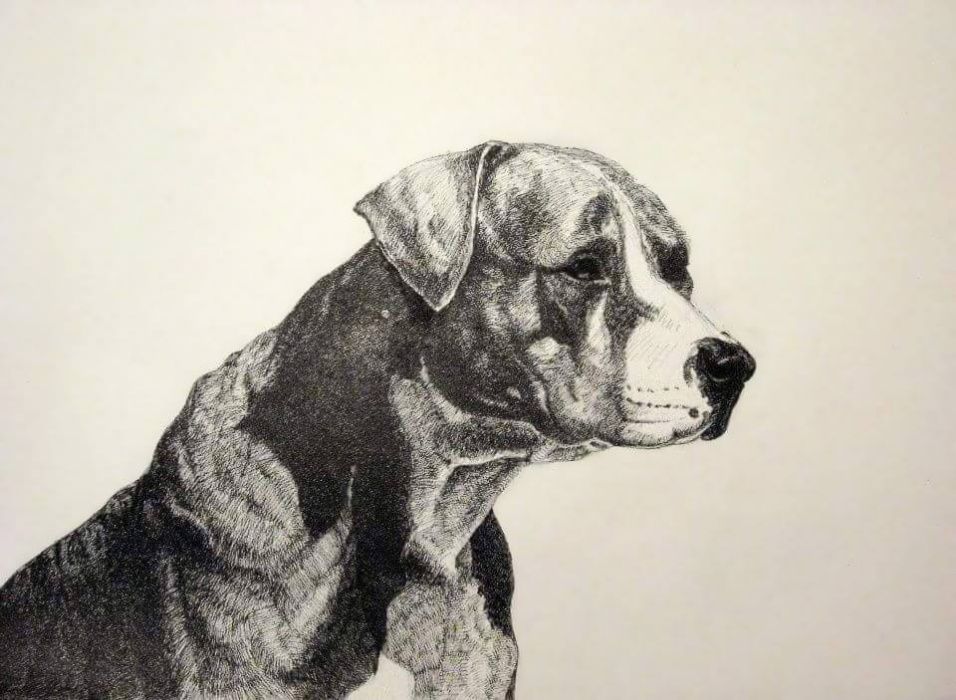 Подари портрет - Портрети по поръчка!