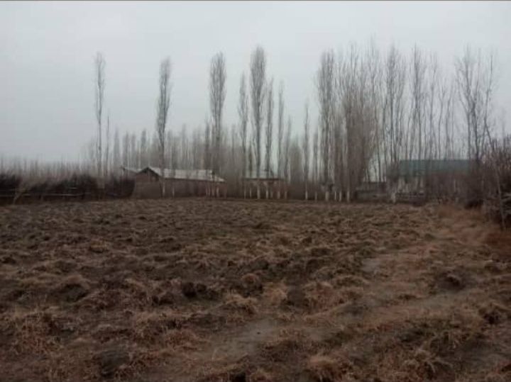 20 sotix yer uchaska sotiladi