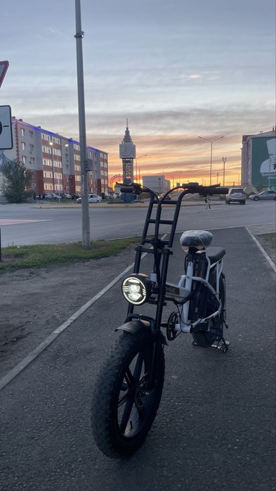 Леопарт, прайм.
