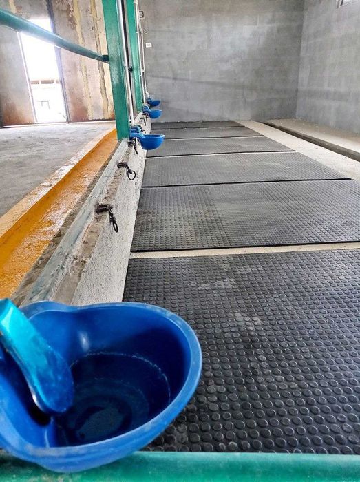 Маты для коров. Корамоллар ётиши учун матлар.