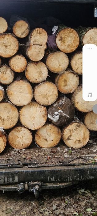 Vând lemn brad zero șapte cinci unu cinci zero șase unu șase zero