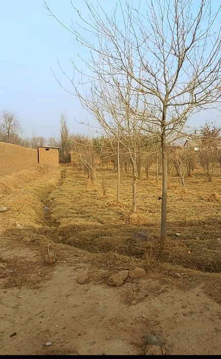 Xovlilik uy sotiladi zudlik bilan