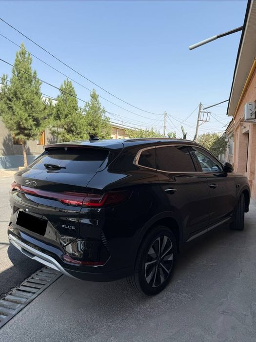 Byd chempion restaylig