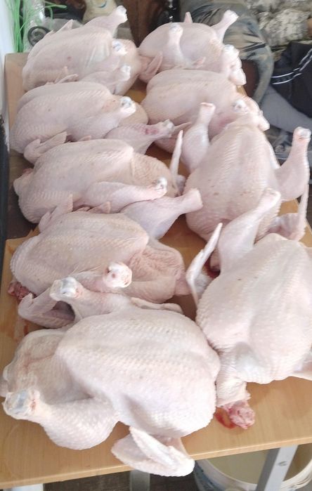 Продам мясо домашнего бройлера