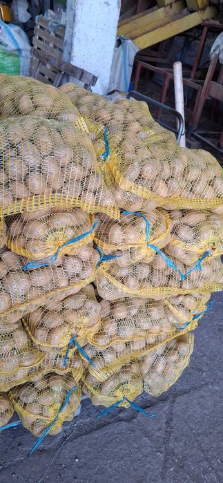 Картофи за консумация и семе