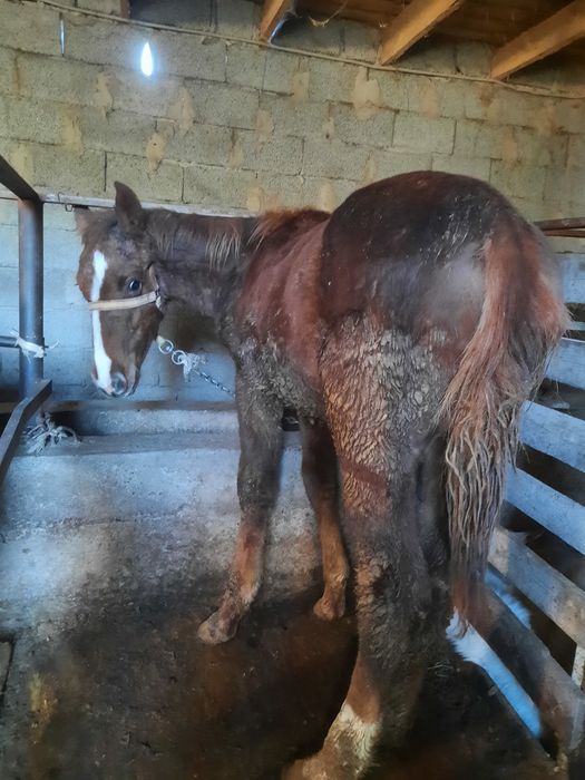 Смотреть эротика онлайн: Екі лесбиянка