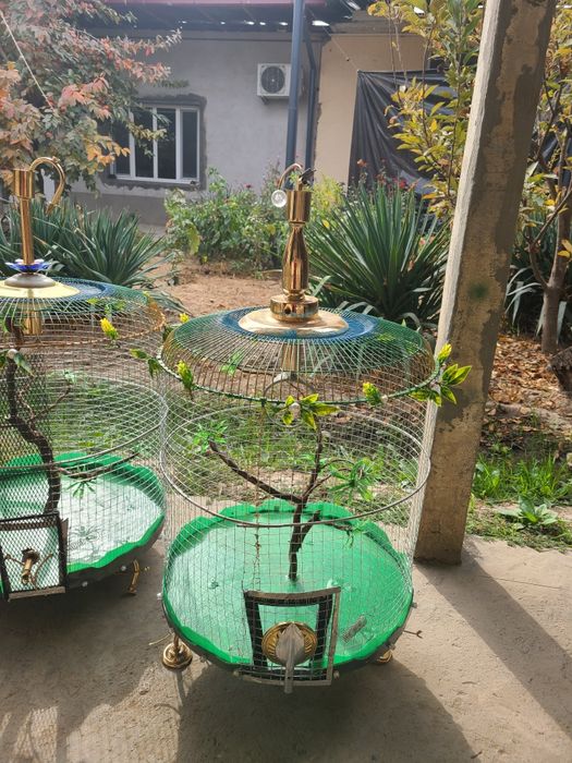 qafas sotiladi ruchnoy