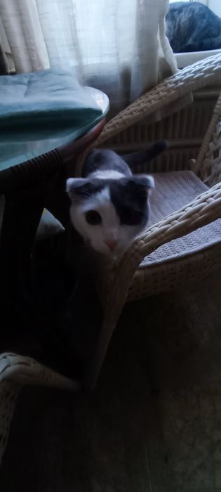 Очень ласковый мальчик