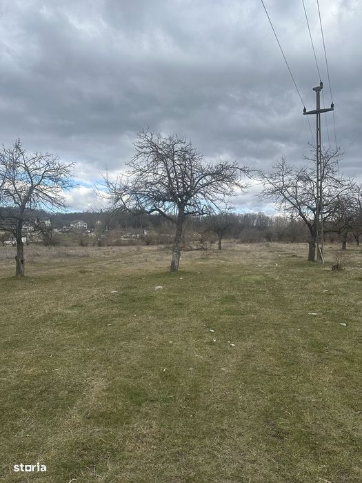 Campina - teren intravilan 4400mp - 17 Euro/mp