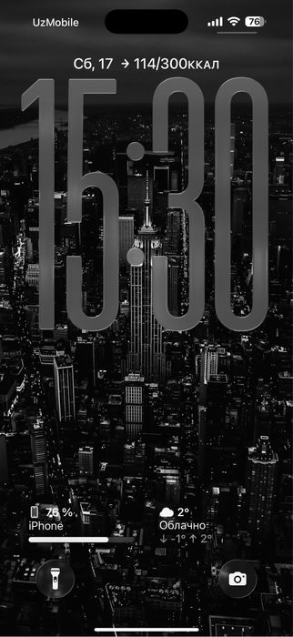 Iphone 16 pro max 256 900$ srochno