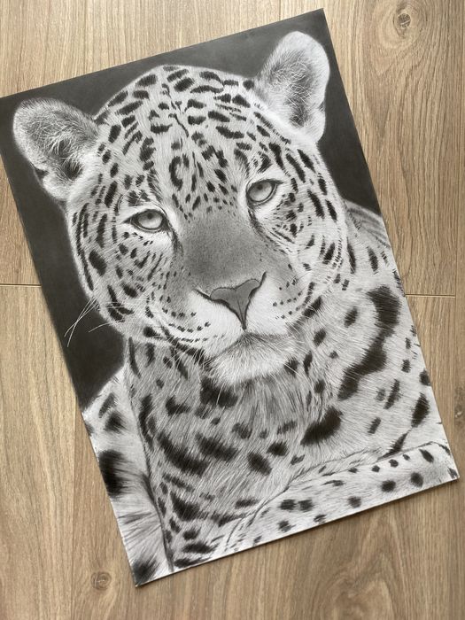 Картини,черно-бели (графитни моливи)