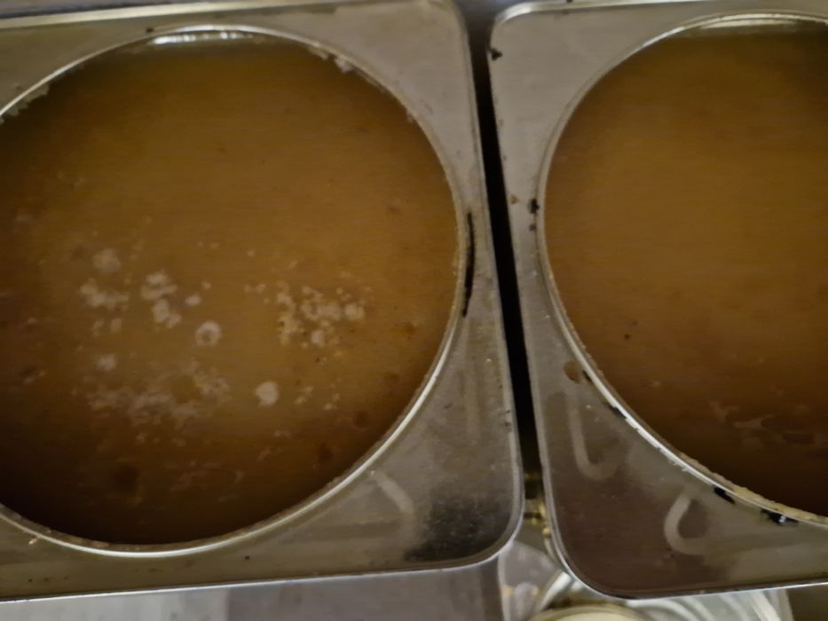 Пчелен мед билков 2025г за Варна безплатна доставка