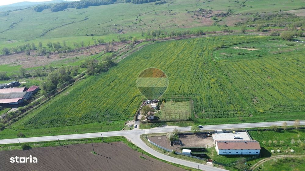Teren de vanzare sau inchiriat 19ha intravilan, Agnita,Sibiu