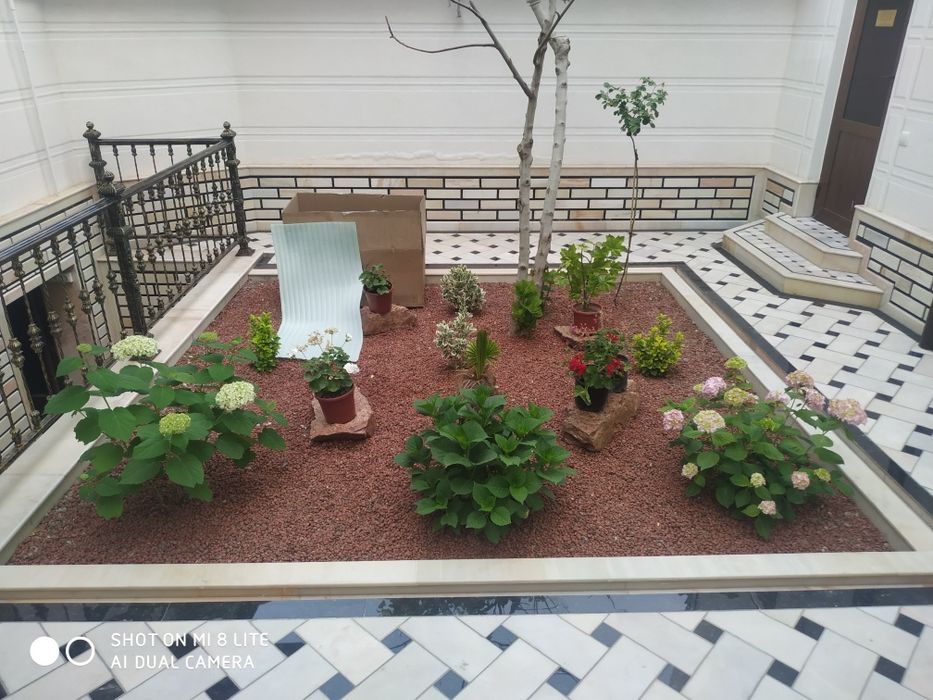 ландшафт дизайн. gazon daraxt gul ekamiz