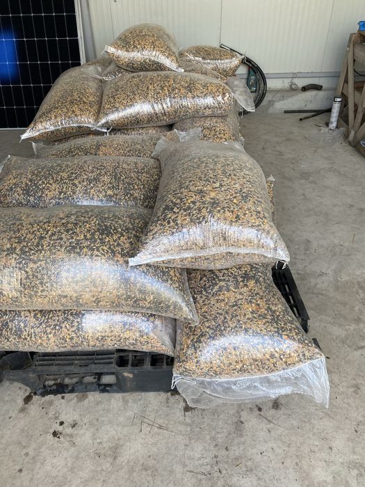 Cereale:grau,orz,porumb, sorg