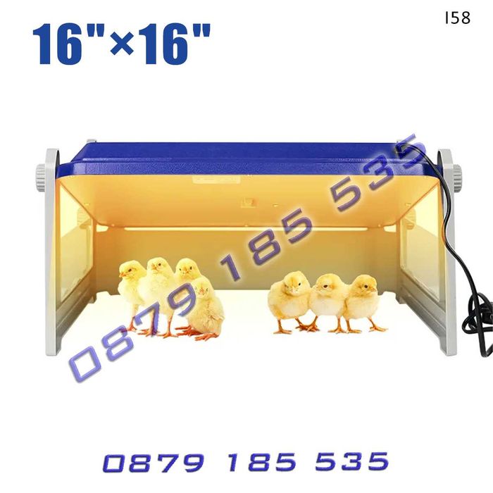 Топлилка нагревателен панел пилета домашни малки животни топлина