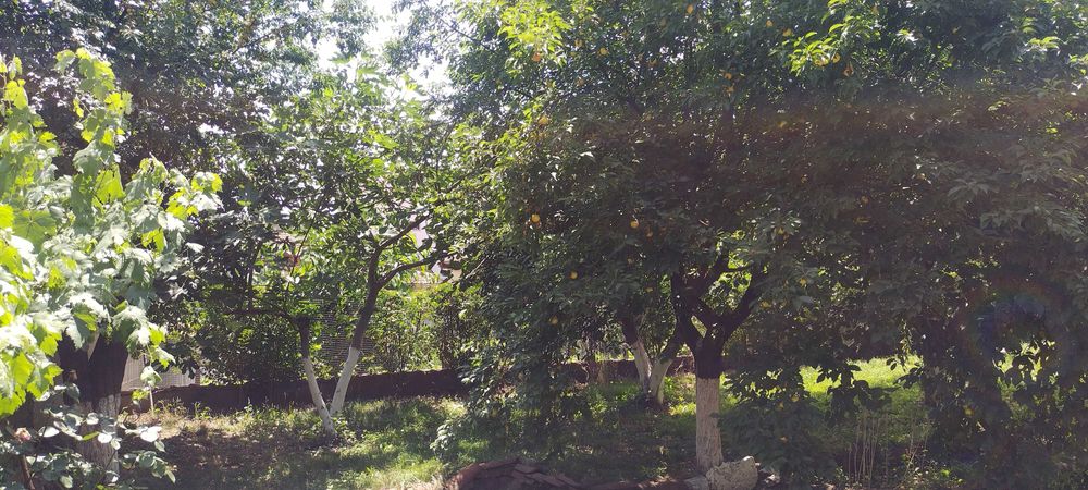 Продава се Къща в Казанлък - 300 кв.м за 797 €/кв.м - Снимка #7