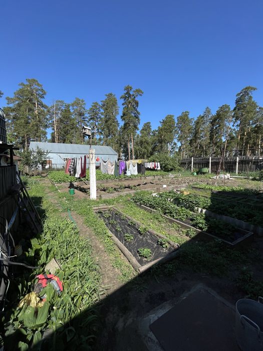 Продам дом с готовым бизнесом