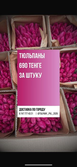 Тюльпаны по 690 премиум