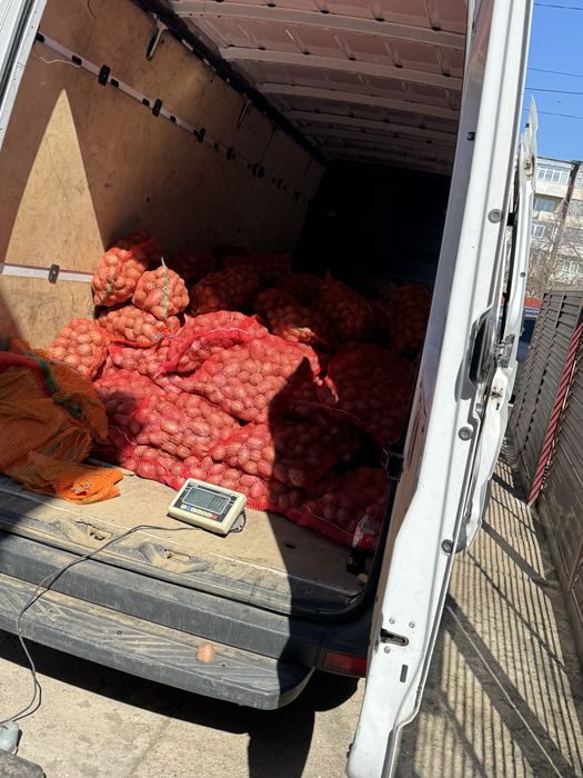 Cartof de consum si de samanta pret imbatabil